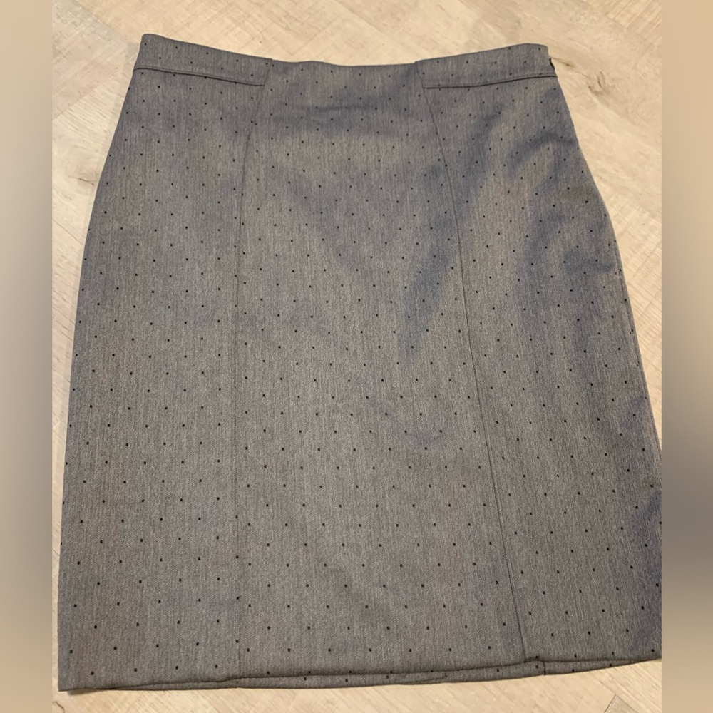 Banana Republic NWT skirt